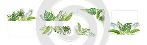 Summer Tropical Leaf and Foliage Frame Vector Set