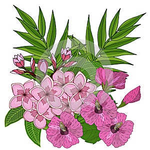 Summer tropical leaves and flower vector.