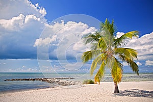 Summer at a tropical paradise in Florida