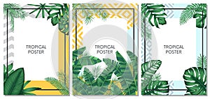 Summer tropical vector set design for cards, poster or flyer with exotic palm leaves