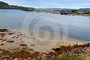 Summer tundra. Rocky coastline of Barents Sea near Teriberka. Scenery of Russian North. Kola Peninsula, Murmansk Oblast