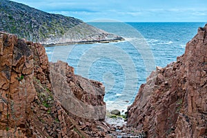 Summer tundra. Rocky coastline of Barents Sea near Teriberka. Scenery of Russian North. Kola Peninsula, Murmansk Oblast