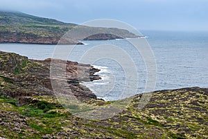 Summer tundra. Rocky coastline of Barents Sea near Teriberka. Scenery of Russian North. Kola Peninsula, Murmansk Oblast