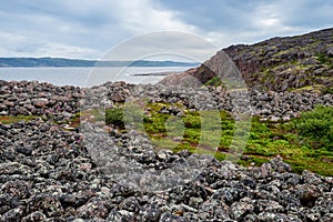 Summer tundra. Rocky coastline of Barents Sea near Teriberka. Scenery of Russian North. Kola Peninsula, Murmansk Oblast