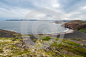 Summer tundra. Rocky coastline of Barents Sea near Teriberka. Scenery of Russian North. Kola Peninsula, Murmansk Oblast