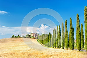 Summer Tuscan landscape, green field and blue sky