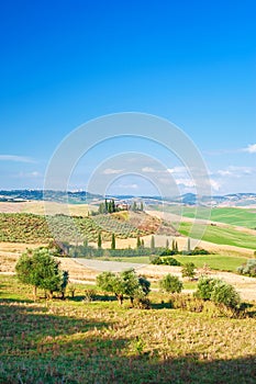 Summer Tuscan landscape, green field and blue sky