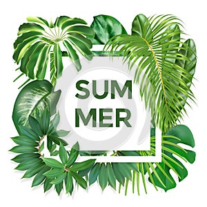 Summer typography with exotic leaves