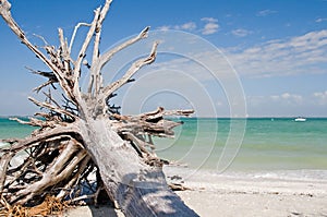 Summer Vacation Beach