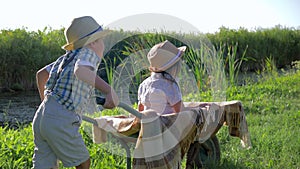 Summer vacation, child boy pushing wheelbarrow with little girl at countryside