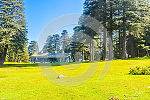 Summer Vacation Concept Cottage surrounded with Green trees and green grass near public park with tall trees light blue sky