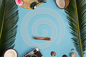 Summer vacation concept. stylish sunglasses,  retro photo camera and green palm leaves on blue background, flat lay