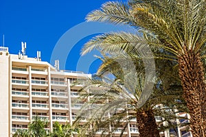 summer vacation destination beautiful place palm tree and white hotel apartment building background landmark view