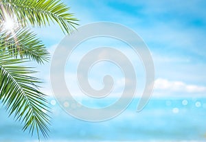 Summer vacation or holiday background. Tropical beach, blue sea, sun and palm leaves.