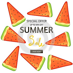Summer vector collection