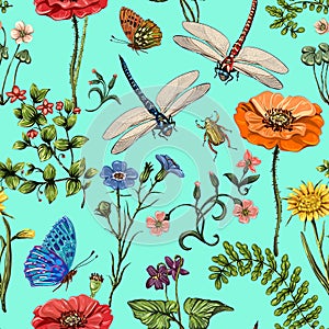 Summer vector seamless pattern. Botanical wallpaper. Plants, insects, flowers in vintage style. Butterflies, dragonflies photo