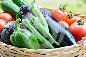 Summer vegetables in basket