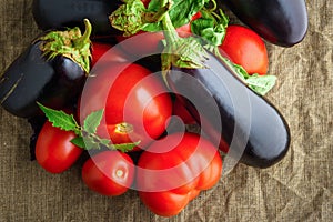 Summer vegetables: fresh red tomatoes and eggplants, top view
