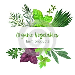 Summer veggies banner, hand drawn vector watercolor illustration