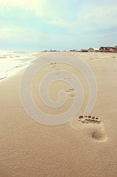 Summer Vibe Beach Footprints
