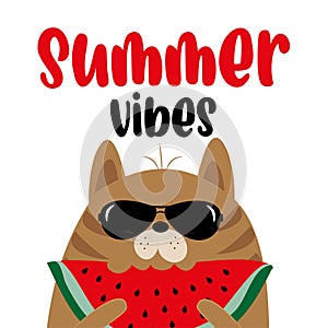 Summer Vibes - cool cat and watermelon slice.