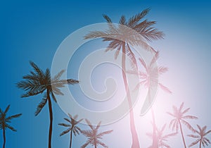 Summer Vibes. Hand drawn lettering on background with palm leaves. Design elements for poster, flyer. Vector illustration