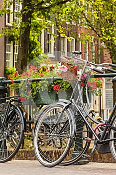 Summer view of bicycles in the Dutch city Amsterdam