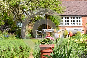 Summer view of a domestic home garden with flowers lawn and patio furniture in the background