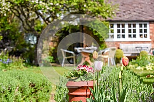 Summer view of a domestic home garden with flowers lawn and patio furniture in the background