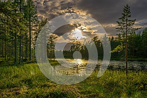 Summer view in the evening from a small forest lake in Sweden