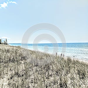 Beach Grass on the Shore of Lake Michigan photo
