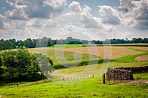 Summer view of farm fields in rural Baltimore County, Maryland.