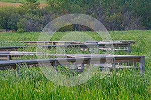 Summer view of the John E Poole wetlands