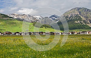 Summer view of Livigno, an Italian town in the province of Sondrio in Lombardy and renowned winter and summer tourist resort in photo