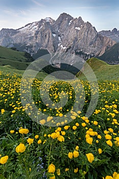 Summer view of Marmolada (Punta Penia), the highest peak in Dolomites, Trentino, Italy.