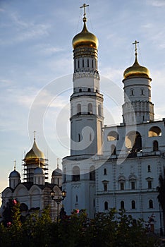 Summer view of Moscow Kremlin. Color photo