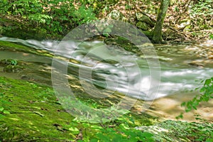 Summer View of North Creek in the Blue Ridge Mountains