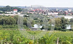 View of Pezinok town in Slovakia
