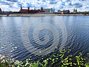 Summer View of River With Water Lilies and Cityscape. Water lilies float on River with a city backdrop under a cloudy photo