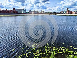 Summer View of River With Water Lilies and Cityscape. Water lilies float on River with a city backdrop under a cloudy