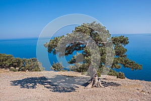 Summer view seacoast. Sudak beach. Black Sea, Ukraine