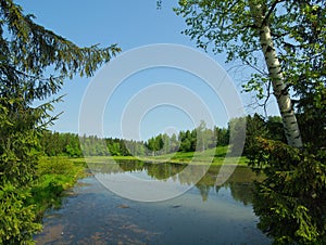 Summer view of small lake with forest around