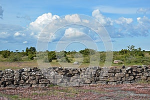 Summer view at a stonewall in a plain landscape