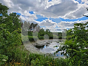 Summer View at Strasburg Creek Community Trail