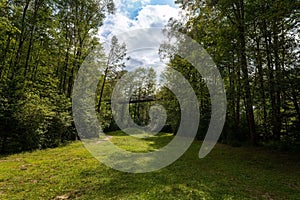 Summer View of the Treetop Path in Ziegelwies from Below photo