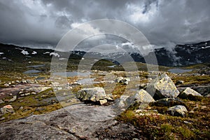 The summer view of Trolltunga in Odda, Ringedalsvatnet lake, Norway