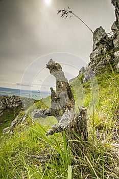 Summer view on velka fatra mountain in Slovakia.