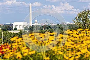 Summer view of Washington D.C. Cityscape Including Lincoln Memorial, Washington Monument and Capitol Building
