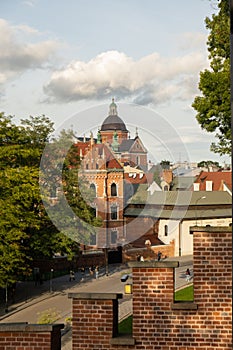 Summer view of Wawel Royal Castle in Krakow, Poland. Historical place in Poland. Flowers on foreground. Beautiful