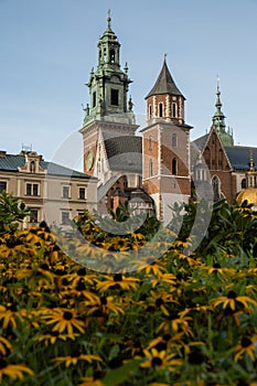 Summer view of Wawel Royal Castle in Krakow, Poland. Historical place in Poland. Flowers on foreground. Beautiful